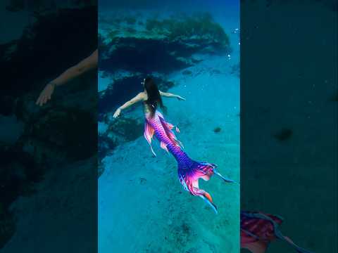 New tail alert #mermaidtail #mermaid #underwater #florida #sirena #mertailor #floridasprings