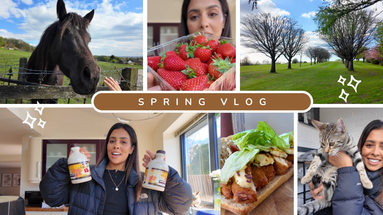 VLOG || Costco Haul, Scenic Walks, Food & Daily Supplements