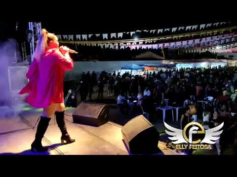 ELLY FEITOSA Canta Músicas de Tik Tok