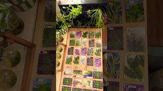 Unknown Channel - Herbaceous video thumbnail