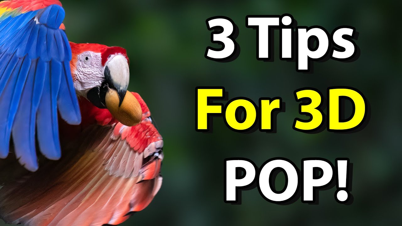 3 Secrets To Creating Wildlife Photos With Depth And Dimension (Bonus Post-Processing Tips!)