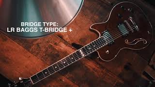 Video thumbnail for SUMMIT CLASSIC HAVANA BROWN A/E by Guitares Godin Officiel / Godin Guitars Official