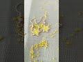 Miyuki Seed Bead Earrings Miyuki Earrings Seedbeads Star Beadwork Followforfollowback