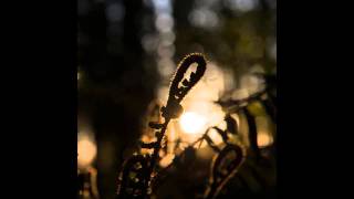 ASC - The Certainty Of Tides (Silent Season)