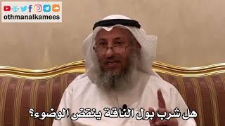 392 - هل شرب بول الناقة ينقض الوضوء؟ - عثمان الخميس