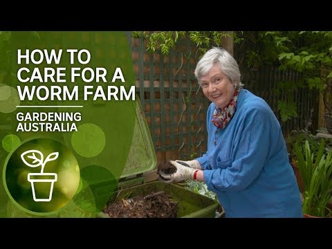 Simple tips in how to take care of your worm farm