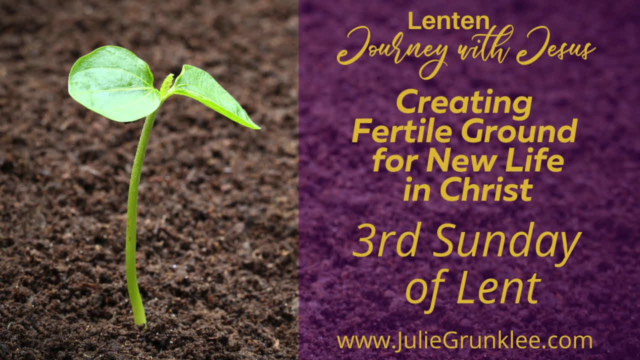 3rd Sunday of Lent - Life Giving Water