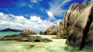 SMOOTH JAZZ + Pleasure + Sassafras Girl