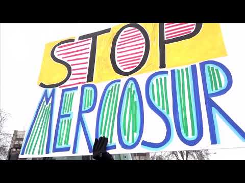 EU lawmakers vote to launch legal challenge to Mercosur trade deal | REUTERS