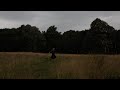 Thalia Jane - Dear Reflection (Official Visualizer)