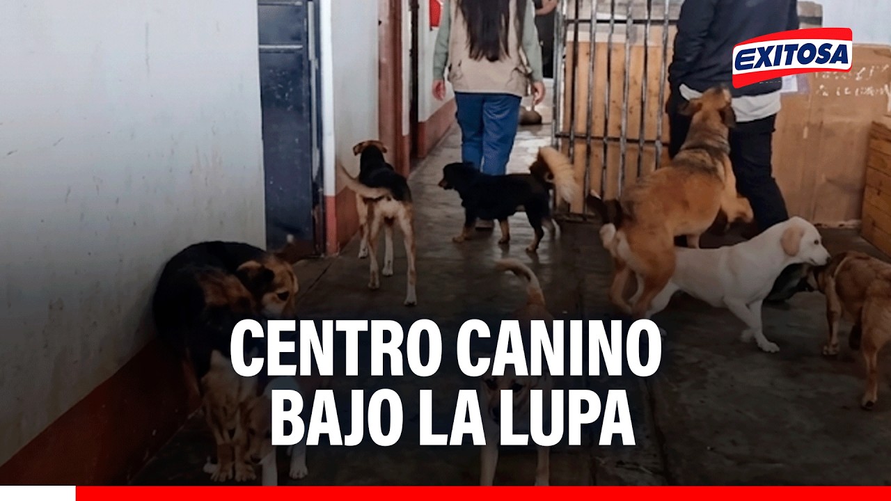 🔴🔵 Los canes que se encuentran en este centro se encuentran sin sus respectivos cuidados