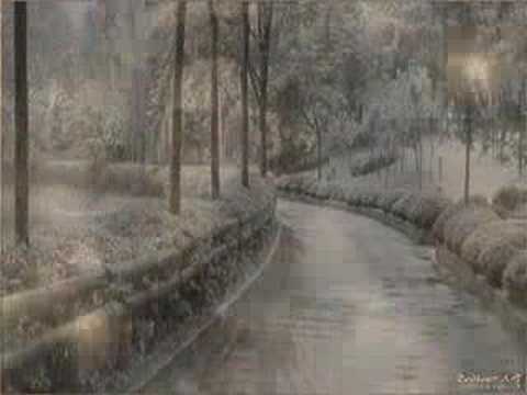 yaz yagmuru - melegim2004