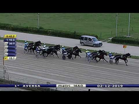 Aversa trotto 2 Dicembre 2019 - 1° Corsa Premio BOTTICELLI