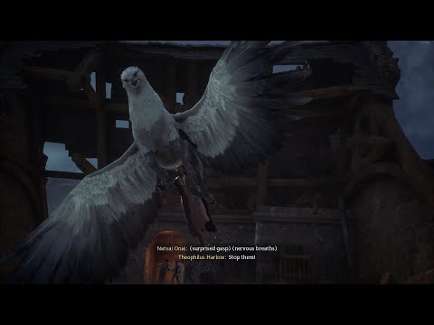 Saving our buddy Highwing - Hogwarts Legacy Playthrough