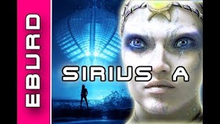 Alien Rassen die mit uns in Kontakt stehen - Die Sirianer von Sirius