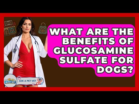What Are The Benefits Of Glucosamine Sulfate For Dogs? - Ask A Pet Vet