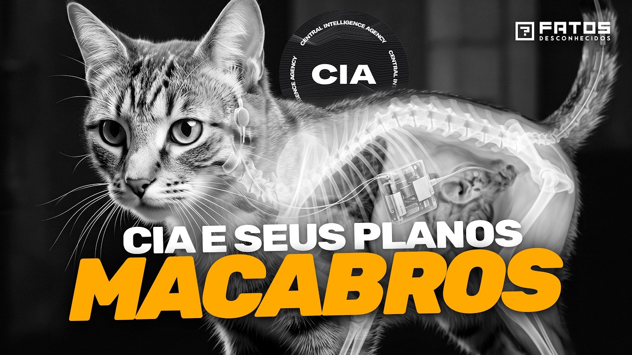 Os maiores sucessos da CIA