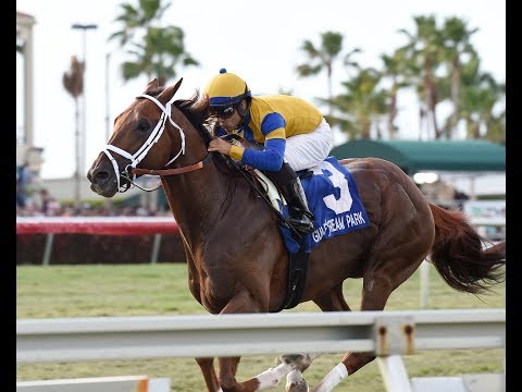 Hi Happy - Pan American Stakes G2 -  Gulfstream Park - $250,000 - Luis Saez -  Todd Pletcher