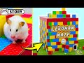 Lego Box Hamster Maze with Fortnite, Minecraft, and Mario 🧱 Homura Ham