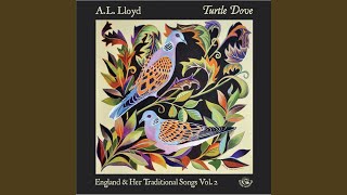 The Handsome Cabin Boy