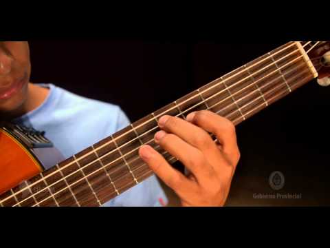 ✔️ CHAMAMÉ - Mi bien Amada - Fernando Acevedo