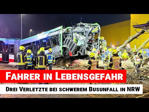 Driver in critical condition: Three injured in serious bus accident in North Rhine-Westphalia
