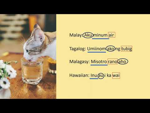 Why do Polynesians say "wai' / "vai", Malays say "air" and some Filipinos say "tubig"?