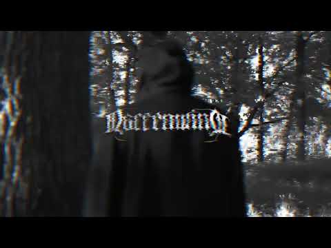 Narrenwind - 2025 album teaser 2 - "TY MINIESZ".