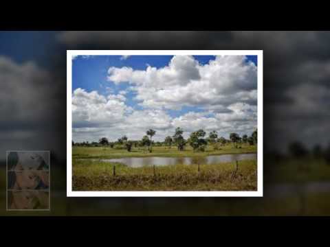 Venezuela 1 Mi llano en Abril y Mayo