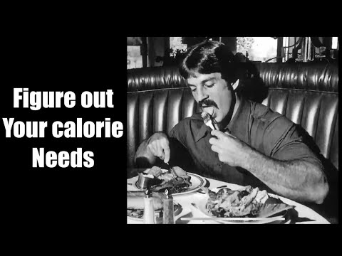 Calculate your calories needs | Build muscle not Fat #mikementzer #fitness #gym #bodybuilding