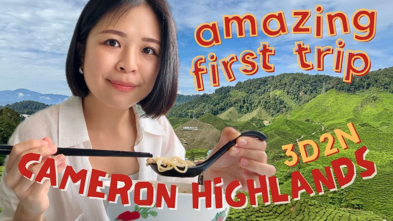 WINTER IN MALAYSIA?! cameron highlands travel vlog | ALPACA FEEDING, scenic tea farms | road trip