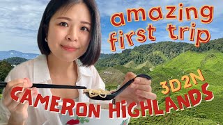 Travel vlog - WINTER IN MALAYSIA?! cameron highlands travel vlog | ALPACA FEEDING, scenic tea farms | road trip