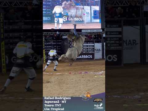 Gross Output of the bull "TNT" 😱 | Mirassol D'Oeste Rodeo 2024 #shorts #rodeio #rodeo