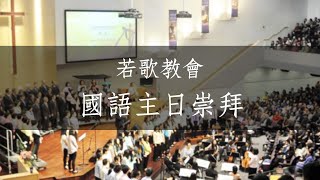 YouTube 视频预览