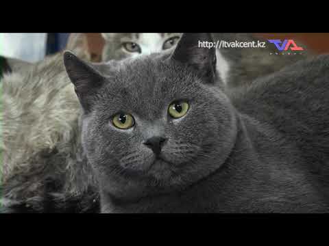 Выпуск программы “День” от 11 ноября 2022г.