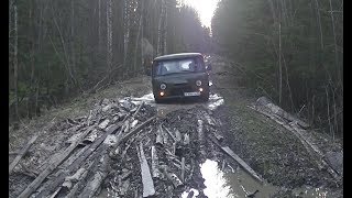 По дорогам лесным на рыбалку