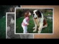 Kids And Pets