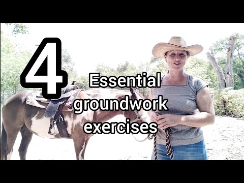 4 Essential Groundwork Exercises to warm up your horse