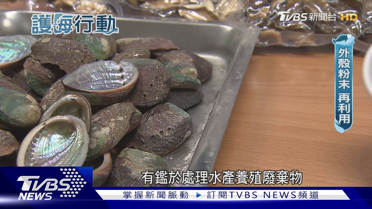 鮑魚殼變淨水濾材! 新型態養殖零廢棄、低耗水、保種源 留永續生機