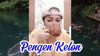 Download lagu Nunung Alvi - PENGEN KELON - Cpt. Suka Wijaya. mp3
