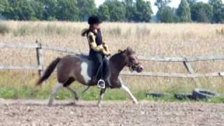 preview picture of video 'SOLD, SPRZEDANA Uhu kłus i galop'