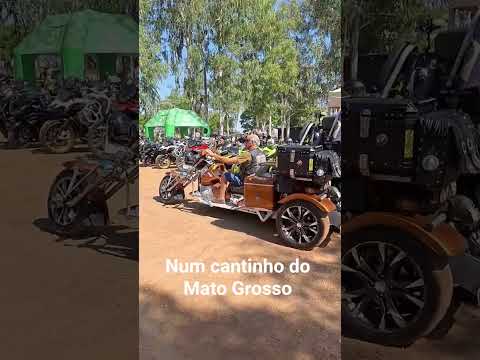 Meu Mato Grosso                                   Marcelandia MT