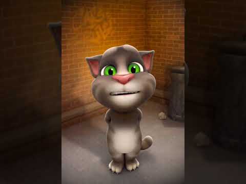 Talking Tom et moi avons créé une incroyable vidéo ensemb maintenant : https://o7n.co/Tom.