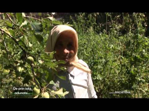 De prin sate adunate - Rachitova