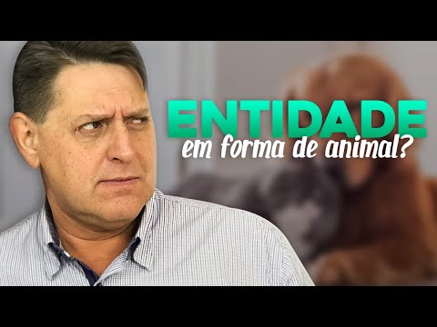 PTD nº 516 - Entidades que aparecem na forma de animais?