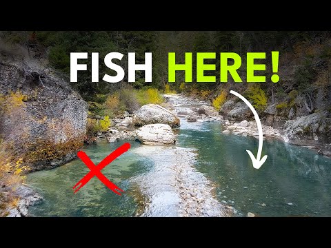 How To Find Trout In A River — Pools 101 | Episode 25