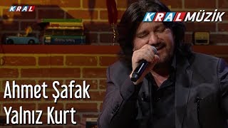 Yalnız Kurt - Ahmet Şafak