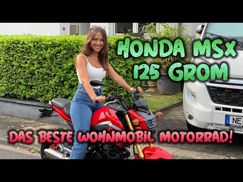 Honda MSX 125 Grom I das BESTE Wohnmobil Motorrad
