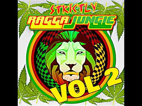 RAGGA JUNGLE IS MASSIVE VOL 2 MIXED BY DJ STP