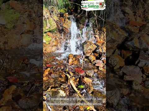 La Salina, Casanare es un territorio reconocido por ser fuente de vida
